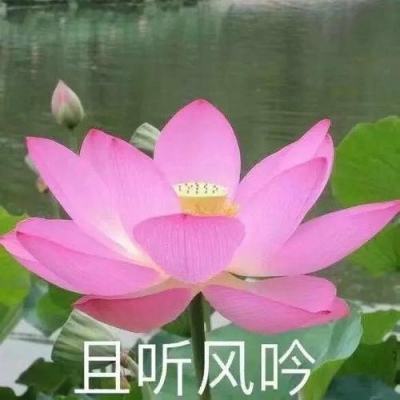 时政微纪录丨习近平总书记陕青宁行